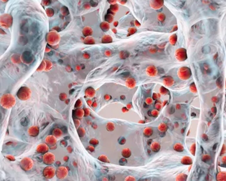 html5 bootstrap by com